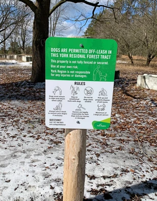 Davis Tract Off Leash Trail