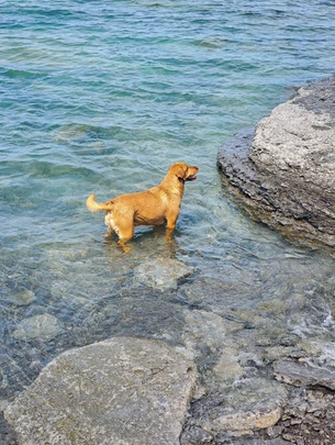 Sandbanks Provincial Park