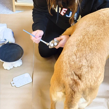 Dog Friendly Pottery, Crock A Doodle