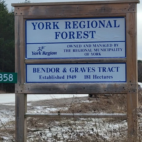 Bendor & Graves Off Leash Tract