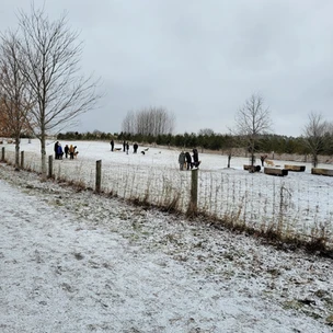 Fenced in Area - Bendor & Graves Off Leash Tract